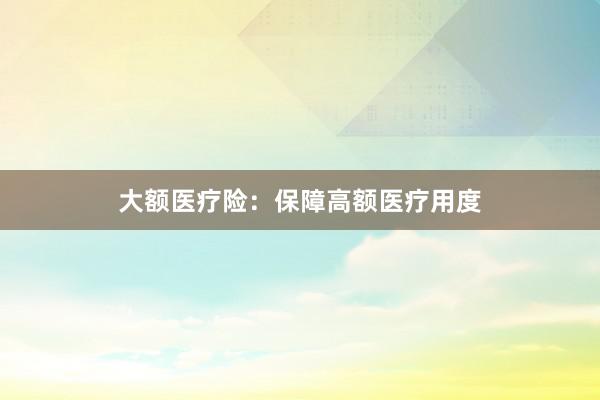 大额医疗险：保障高额医疗用度
